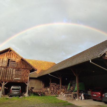 Chez Marguerite Gîtes à la ferme Horbourg-Wihr Esterno foto