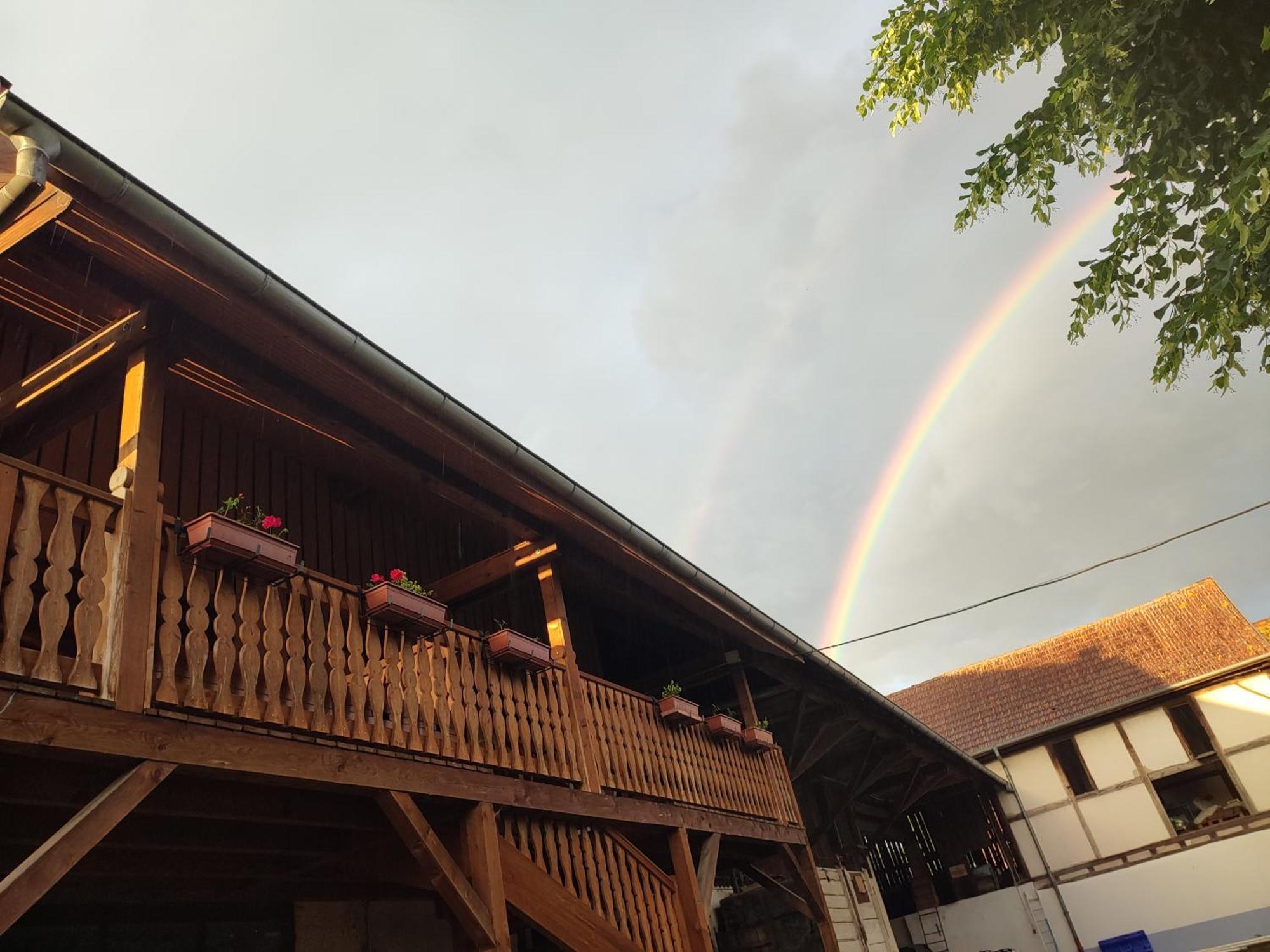 Chez Marguerite Gîtes à la ferme Horbourg-Wihr Esterno foto
