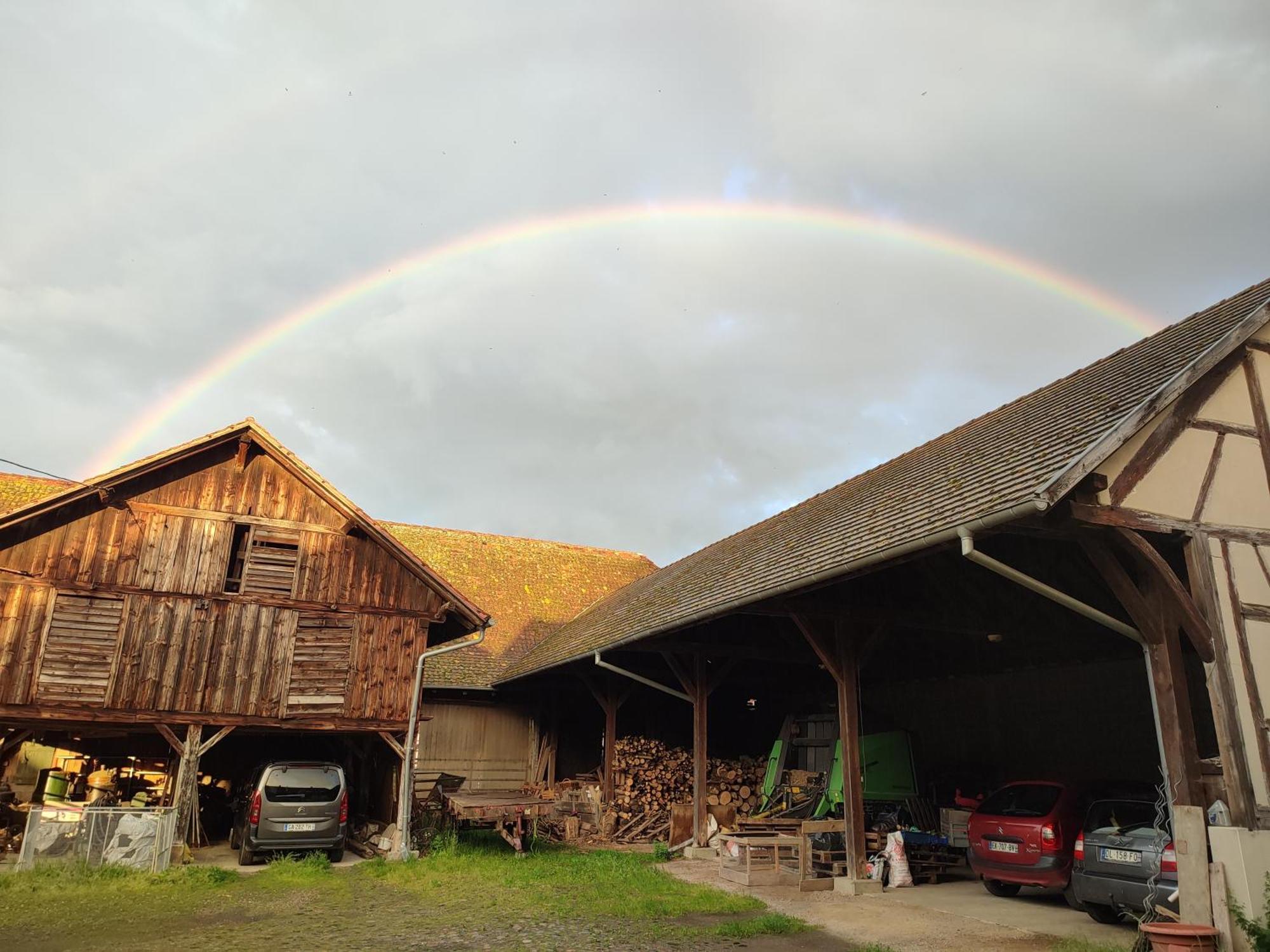 Chez Marguerite Gîtes à la ferme Horbourg-Wihr Esterno foto